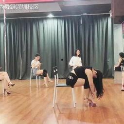 石家人成人舞蹈视频教学,轻松入门，舞动身心