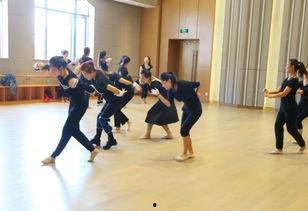 夏令营成人街舞视频大全,夏令营成人街舞视频大全精彩回顾