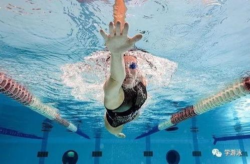 成人业余自由泳视频,业余自由泳爱好者实战技巧解析