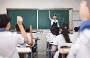 成人老师讲课视频大全,视频大全深度解析