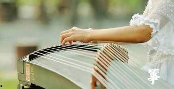 成人美学古筝视频,成人美学古筝视频赏析