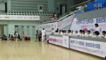 成人轮滑休闲视频大全集,尽享动感与乐趣的成人轮滑视频集锦